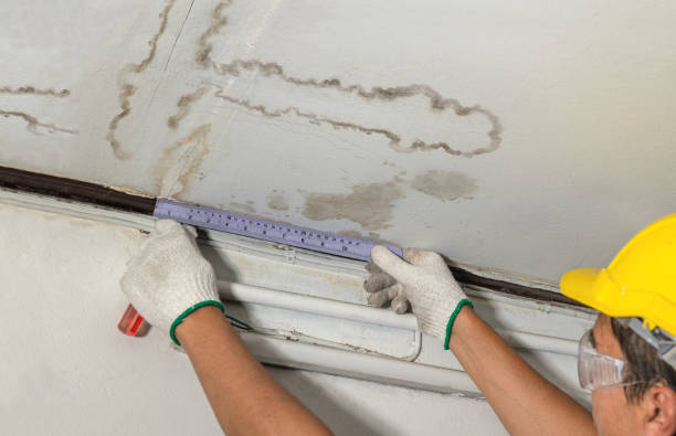 Reliable Water Damage contractor in Brookline, NH by Water Damage Irwin
